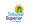 logo: tribunal supremo electoral